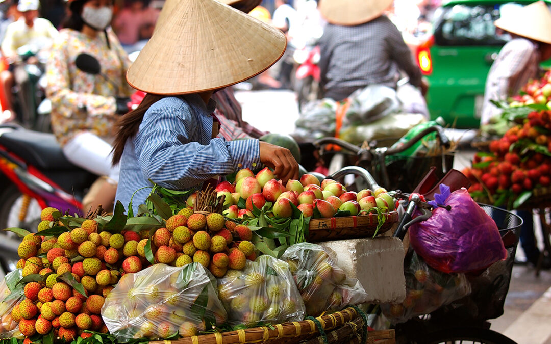 7-Days Vietnam Adventure