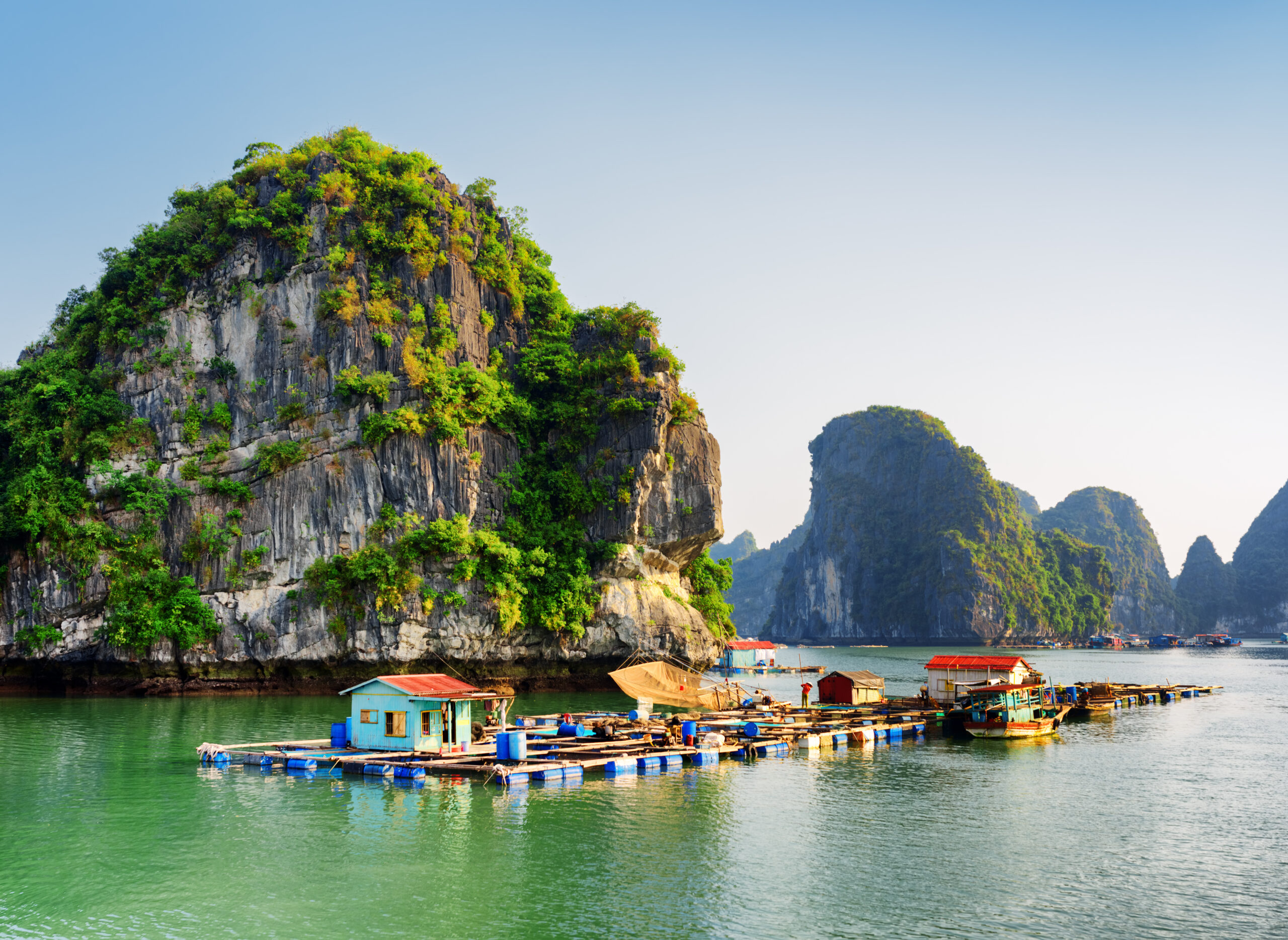 floating fish village at Halong Bay