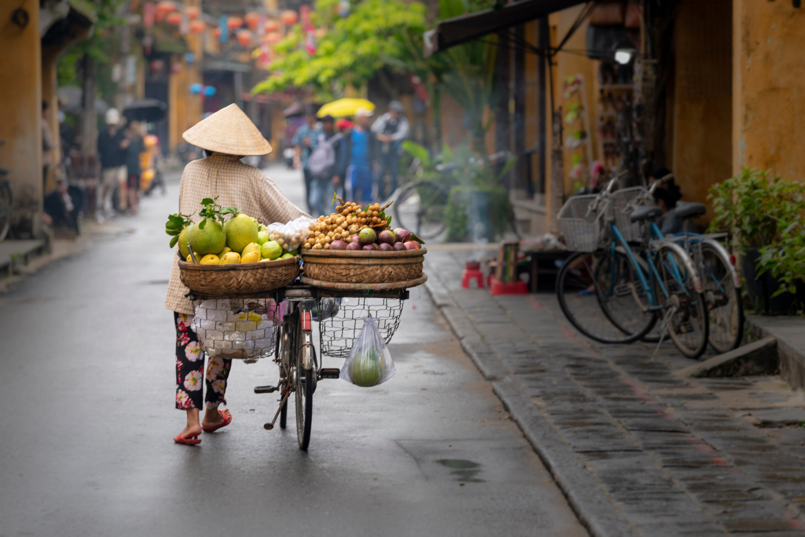 fruit vendor walking her bike, full of produce