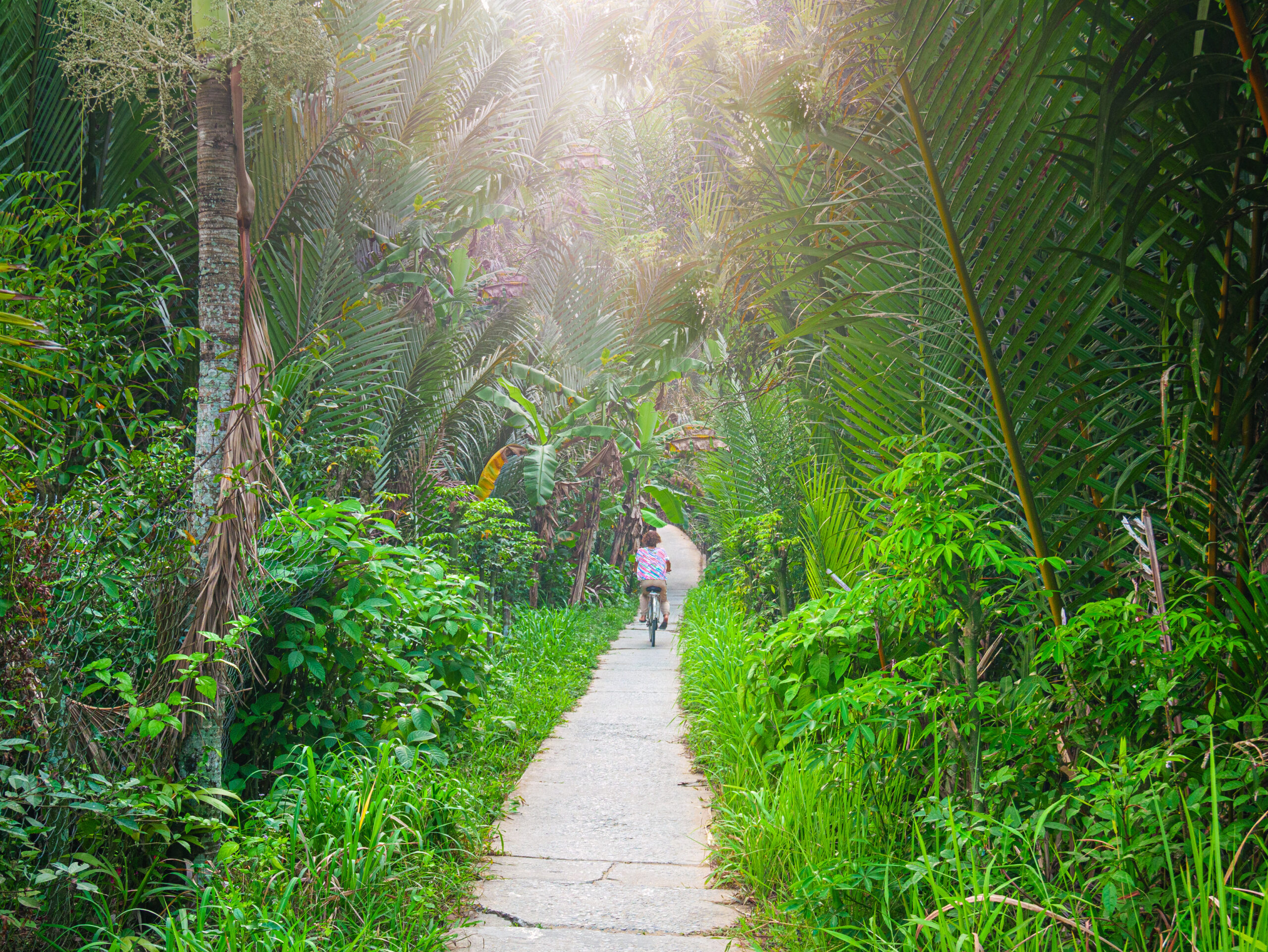 person riding a bicycle down the Mekong Delta road