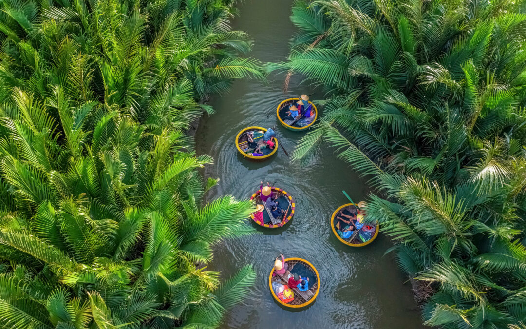 Hoi An Coconut Forest