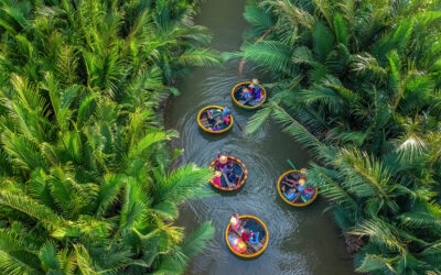 Hoi An Coconut Forest
